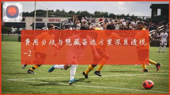 费用分歧与隐藏备选方案深度透视