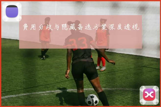 费用分歧与隐藏备选方案深度透视