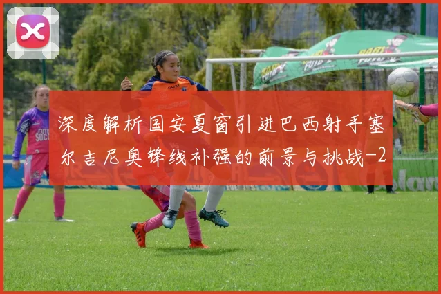 深度解析国安夏窗引进巴西射手塞尔吉尼奥锋线补强的前景与挑战